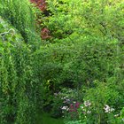 the reality of gardening because it's not all sunshine and rainbows