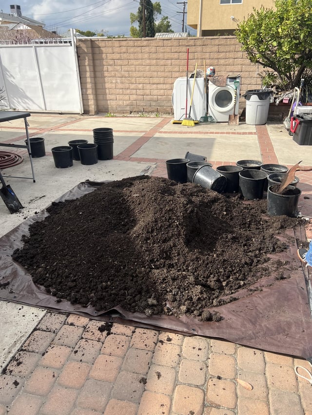 this years start to my garden