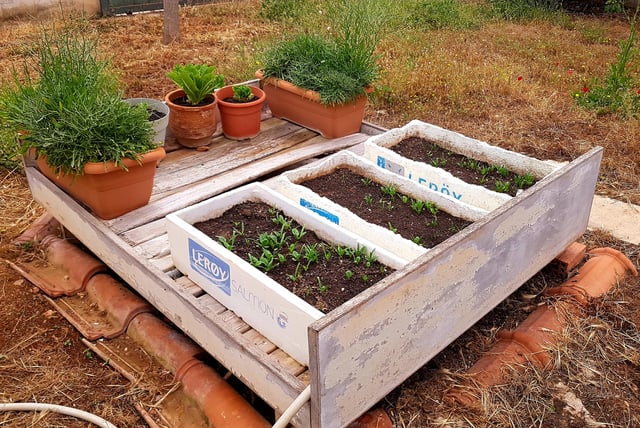 An actual raised bed 😂. – Reddit Post