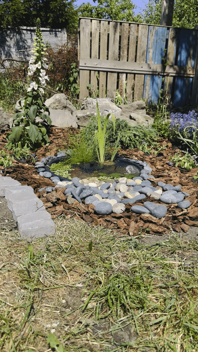 mini wildlife pond