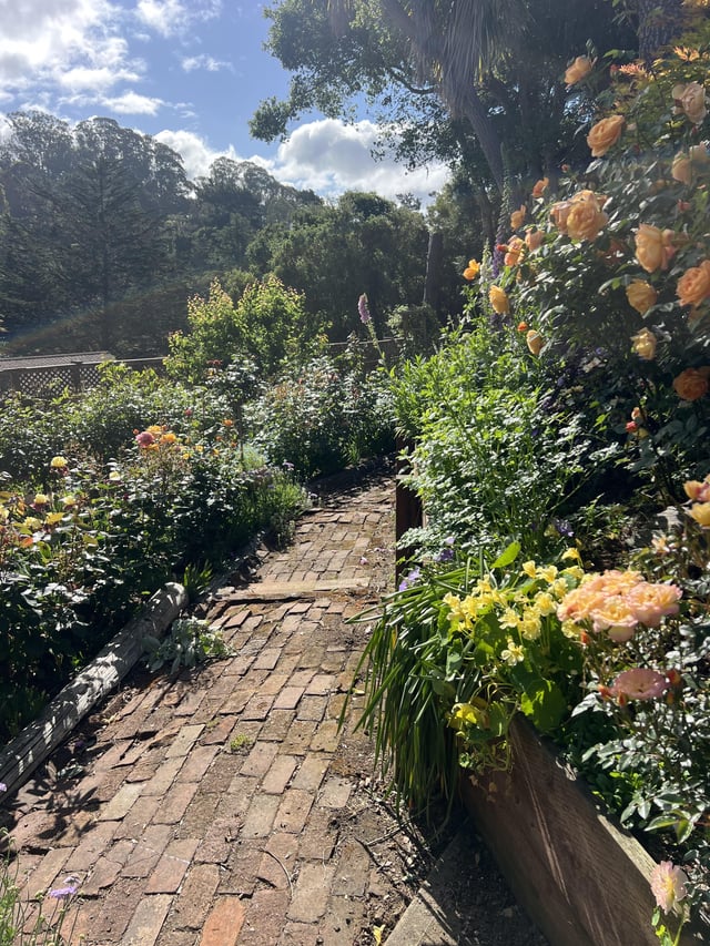 if you love your garden, it’ll love you back (pt 2)