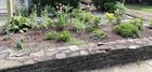 my perennial front ‘yarden’ year 3