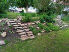 our little garden