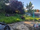 1 year garden update